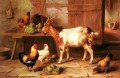 Cabras y pollos alimentándose en una cabaña interior granero de ganado avícola Edgar Hunt